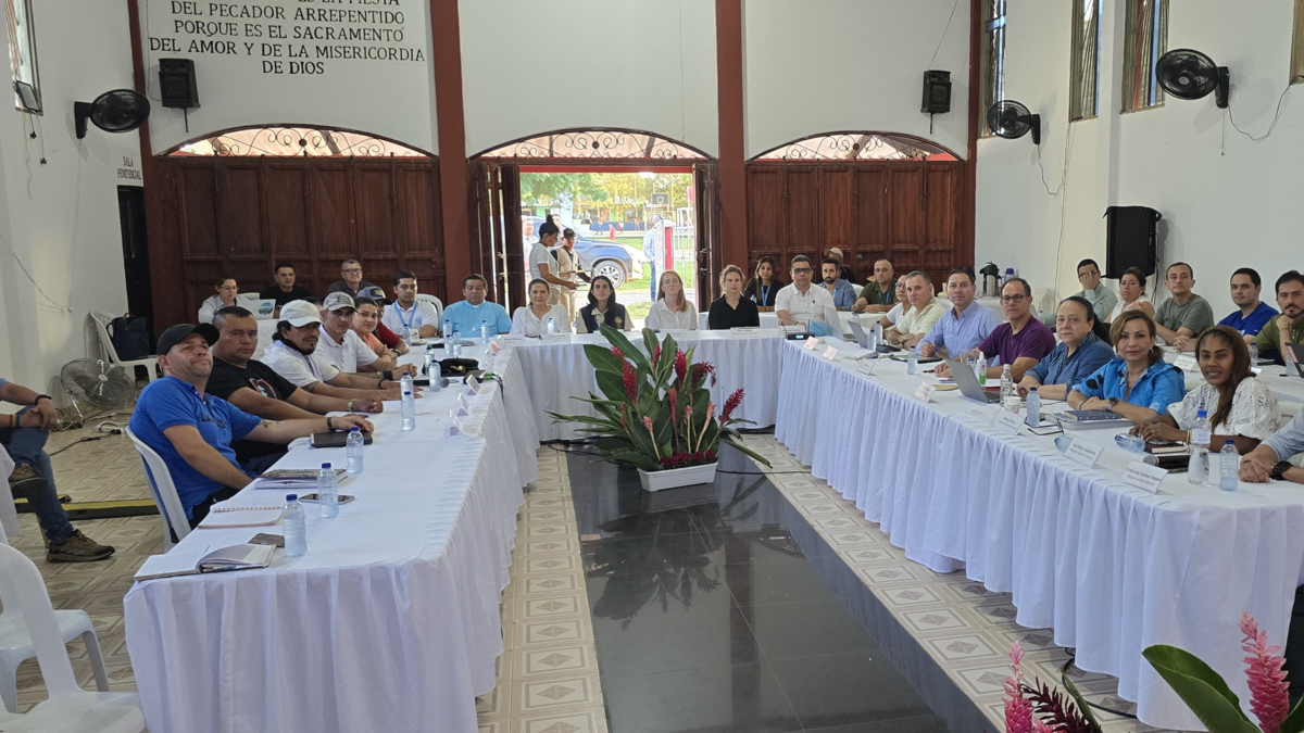 Estos son los acuerdos que sellaron el gobierno y los principales trabajadores del Bloque y frente a alias Calarcá en la séptima ronda de negociaciones

 – En la mira