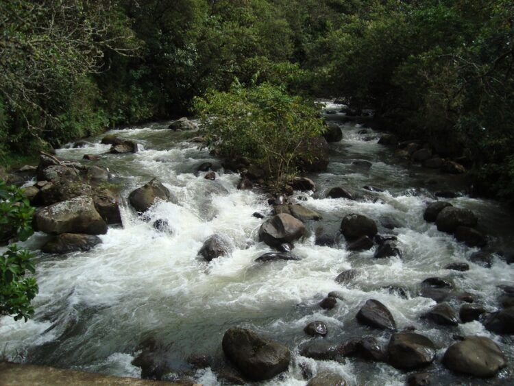 ACCIÓN CLAVE PARA LOS RECURSOS HÍDRICOS – EXTRA

 – En la mira