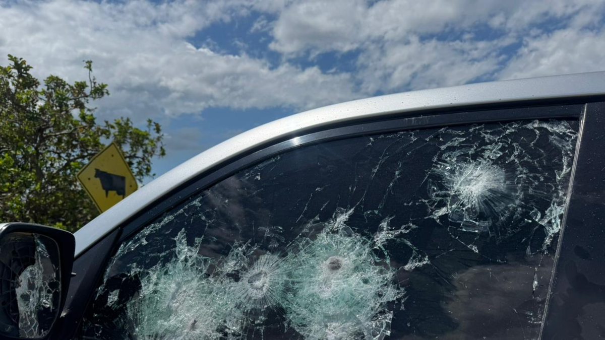 Investigan a disidentes del ELN y las FARC

 – En la mira