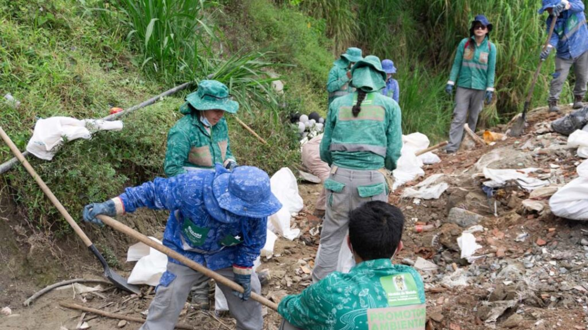 La ciudad endurece los controles y ya ha impuesto multas a cientos de personas por tirar basura

 – En la mira