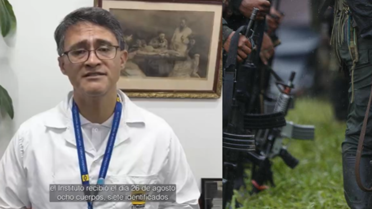 Medicina Legal confirma que 15 menores han sido asesinados en operativos militares en Amazonas, Arauca y Guaviare desde agosto de este año

 – En la mira