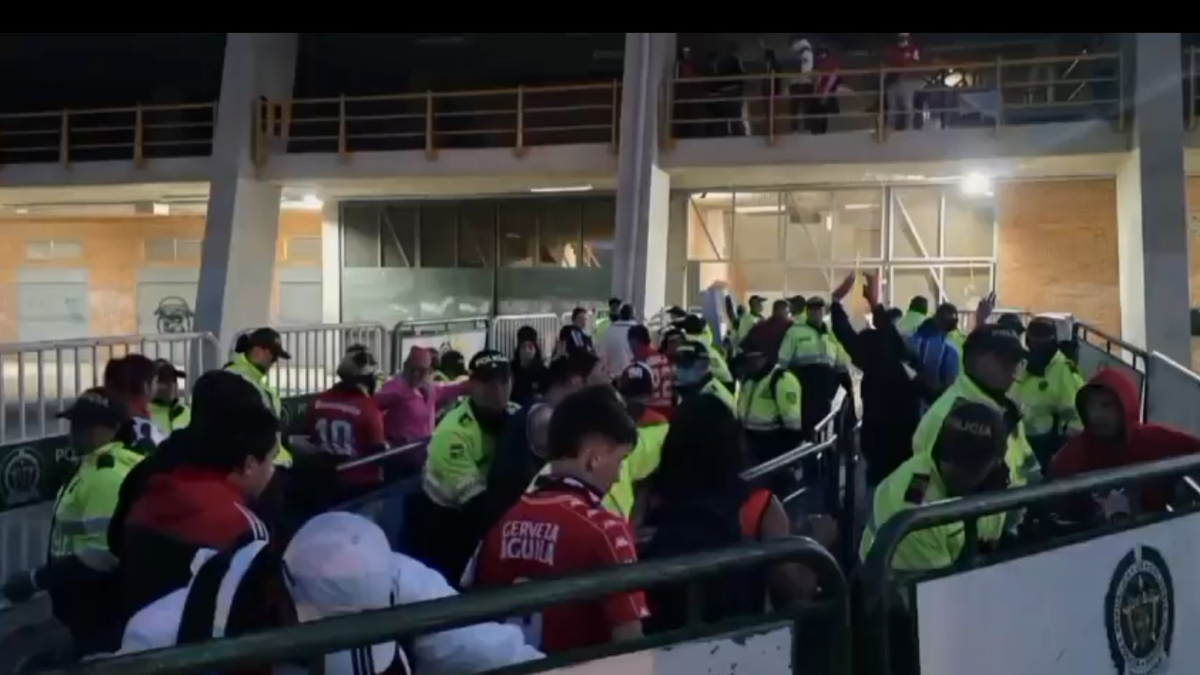 esto es lo que encontraron

 – En la mira