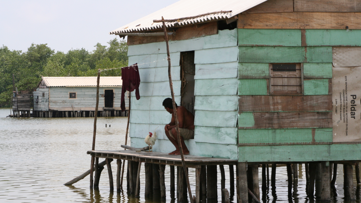 la noche en que la Ciénaga Grande de Santa Marta quedó en silencio

 – En la mira