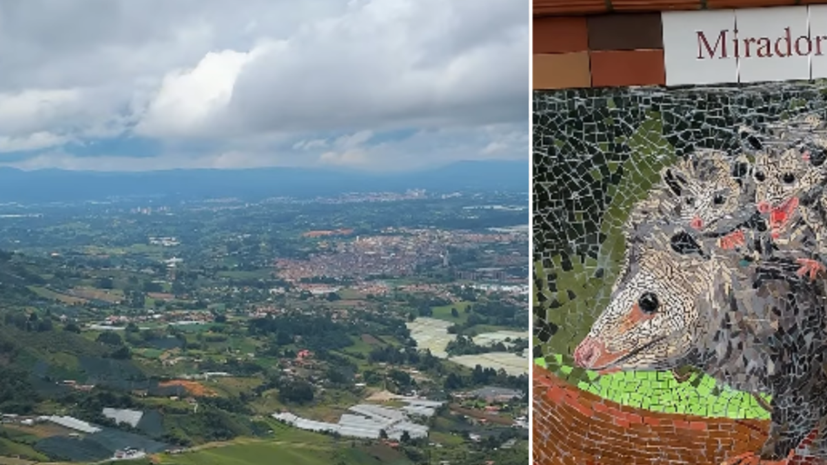 Inauguran en El Carmen de Viboral un nuevo mirador del oriente antioqueño ideal para el ecoturismo

 – En la mira