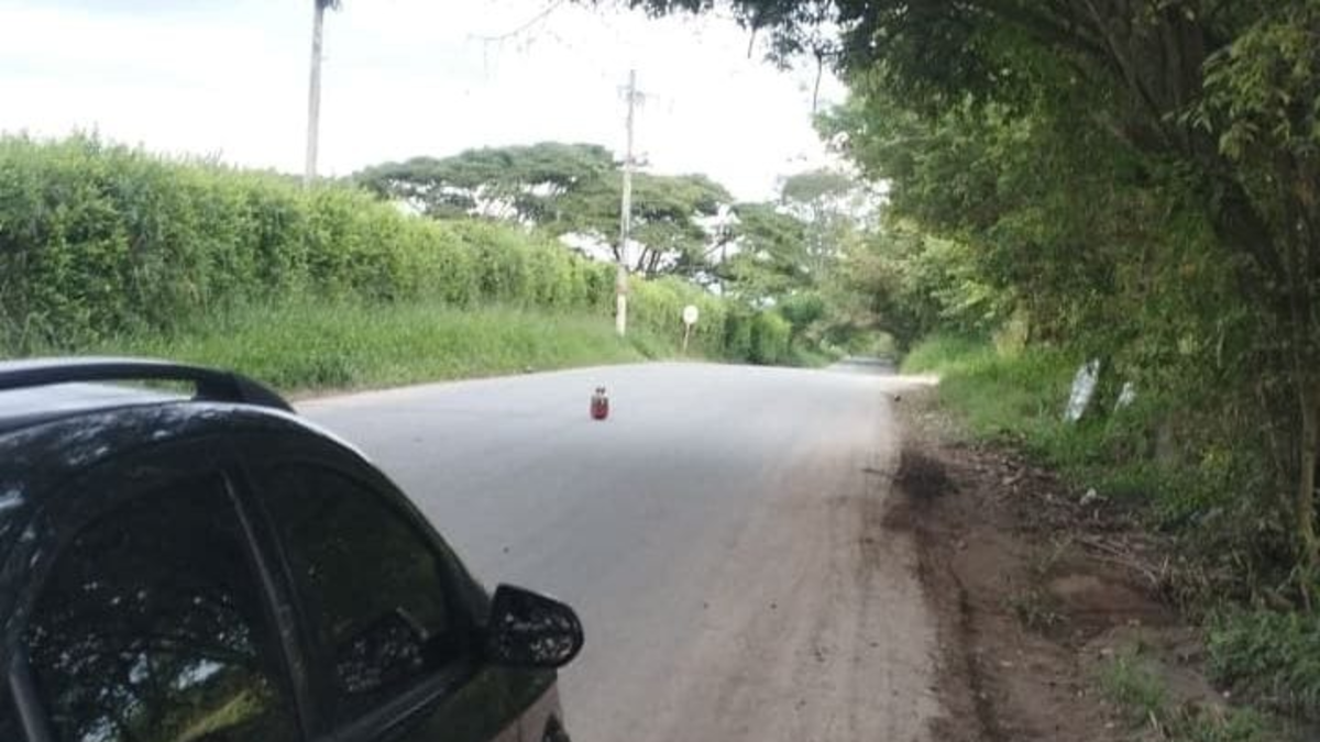 Se sabe que autoridades frustraron un posible ataque con explosivos en la vía que conecta los municipios de Miranda y Florida

 – En la mira