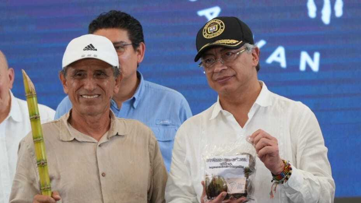 ¿Qué sigue en ese proceso?

 – En la mira