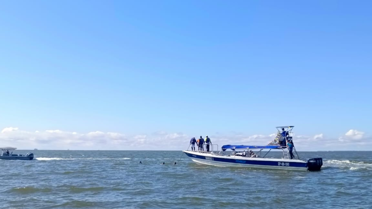 Lo que comenzó como una excursión para estudiantes terminó en tragedia

 – En la mira