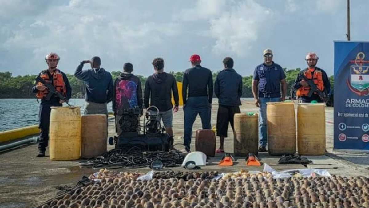Armada de Colombia intercepta embarcación nicaragüense que transportaba más de 180 kilogramos de pesca ilegal en San Andrés

 – En la mira