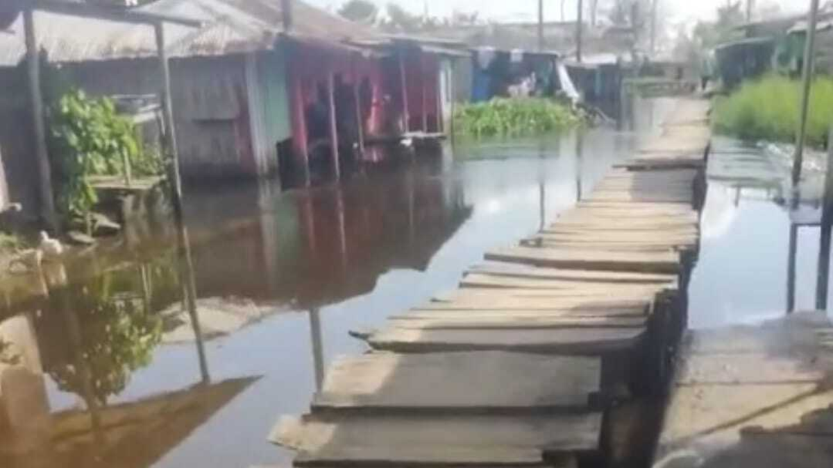 La inversión es nula para evitar inundaciones y los arroceros se declaran en quiebra

 – En la mira