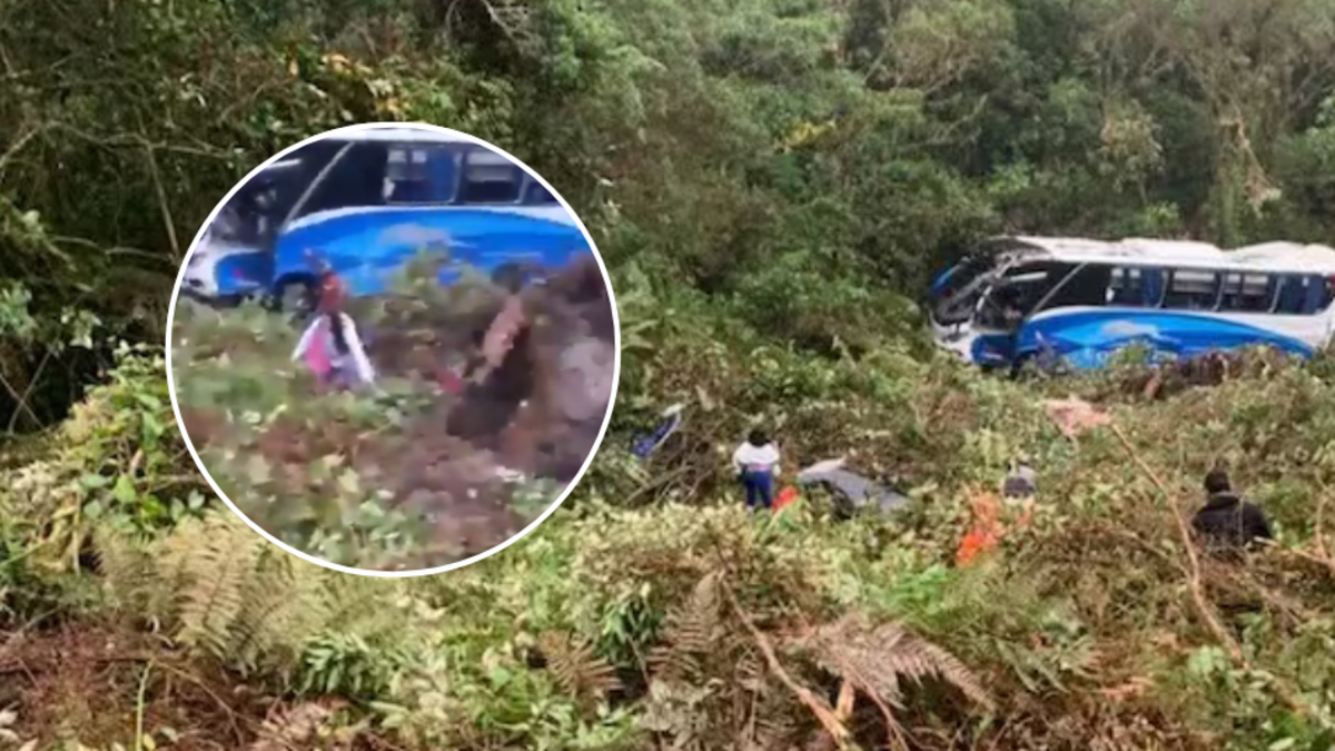 Revelan hipótesis sobre el accidente en el que un autobús de Copetran cayó a un precipicio y volcó a pocos metros en la vía Bucaramanga-Arauca: la empresa brindó detalles

 – En la mira