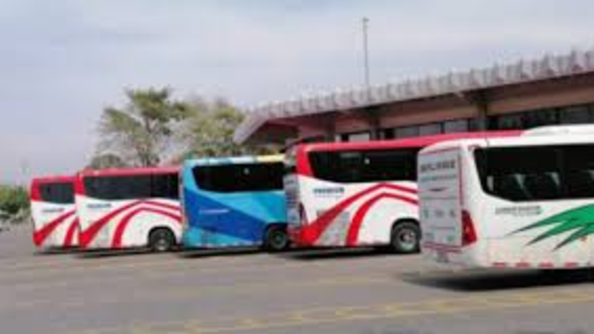 De esta forma, fueron incautados 4.500 gramos de marihuana en la terminal de transporte de Barranquilla; Estaban camuflados en cajas de cereales.

 – En la mira