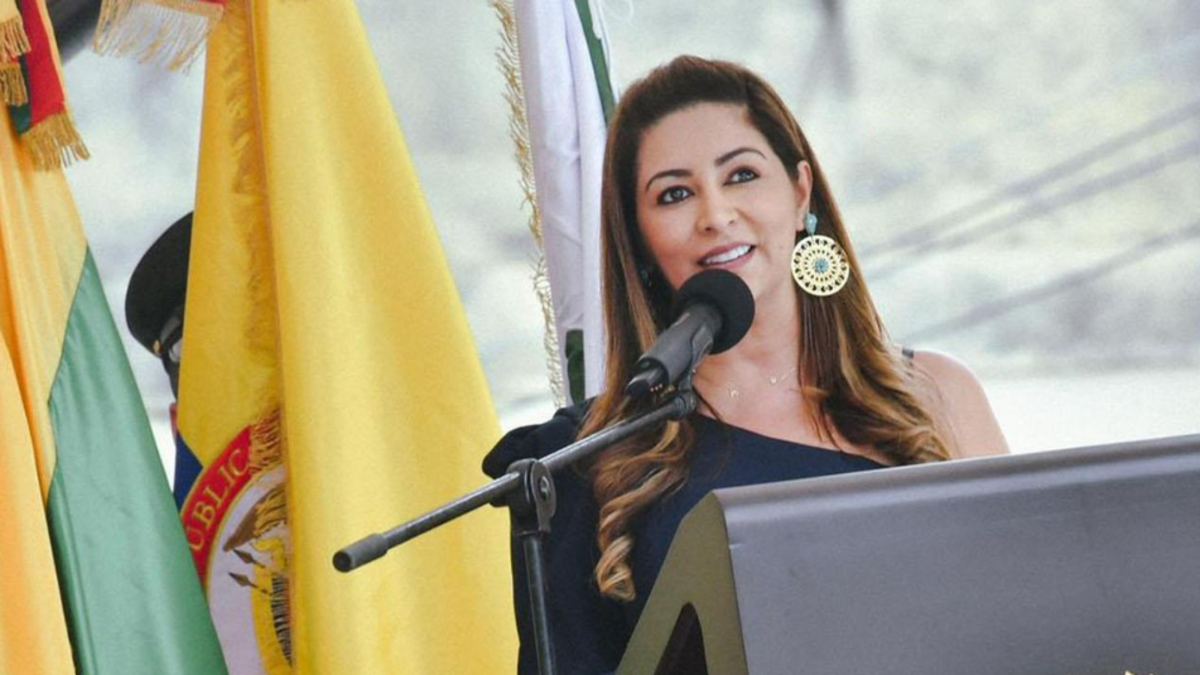 Ante el aumento del riesgo, gobernador del Tolima pide apoyo ciudadano a fin de año para fortalecer la seguridad: “Pedimos ayuda”

 – En la mira