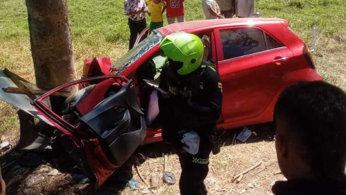 Las causas incluyen el consumo de alcohol y las malas condiciones de las carreteras.

 – En la mira