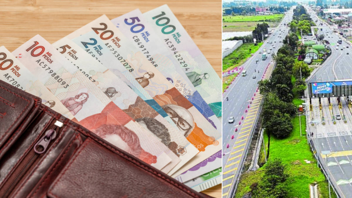 El año empezará en enero y su coste previsto

 – En la mira