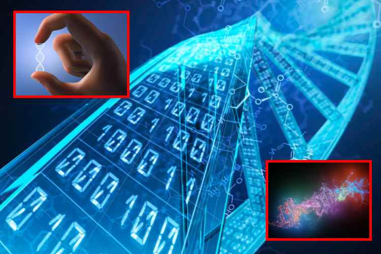 ADN sintético: el futuro del almacenamiento – EXTRA

 – En la mira