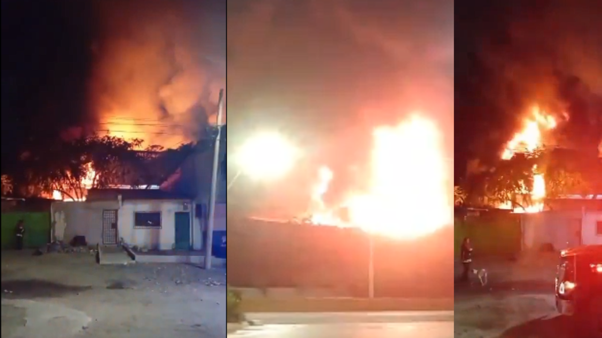La mañana del martes un incendio destruyó una fábrica de colchones en Malambo, Atlántico; esto es lo que se sabe

 – En la mira