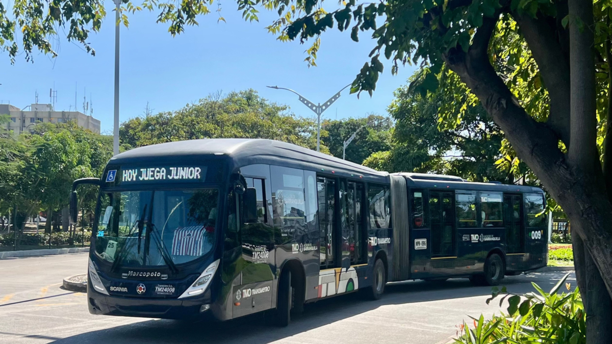 Los servicios urbanos adicionales estarán disponibles una vez finalizado el juego.

 – En la mira