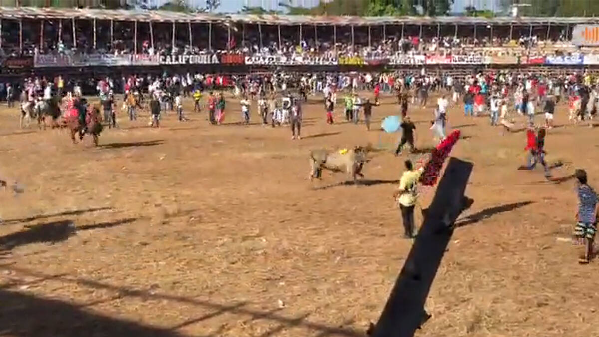 corralejas en el Cáucaso, como resultado del cual más de 60 personas resultaron heridas

 – En la mira