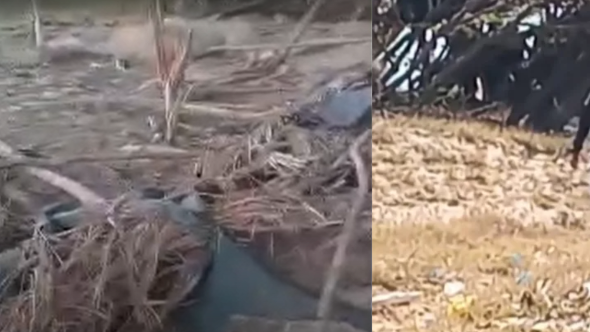 En la zona se encontraron restos de un misil estadounidense

 – En la mira