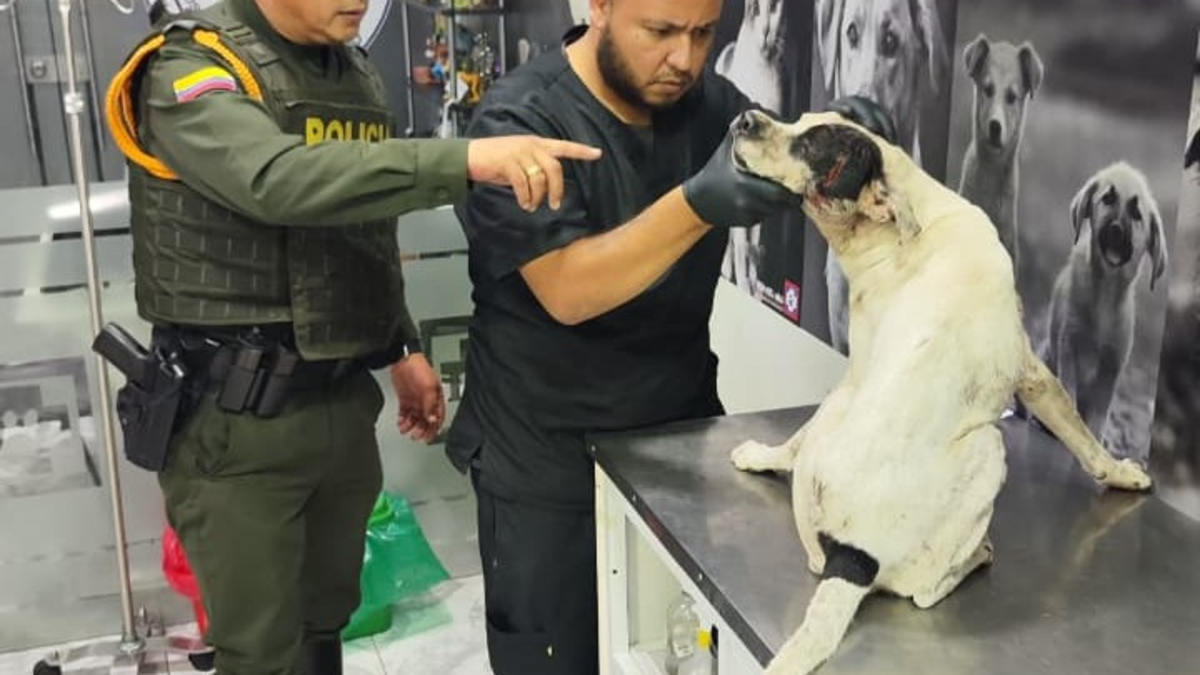 sobre el abuso que causó indignación en Barrancabermeja

 – En la mira