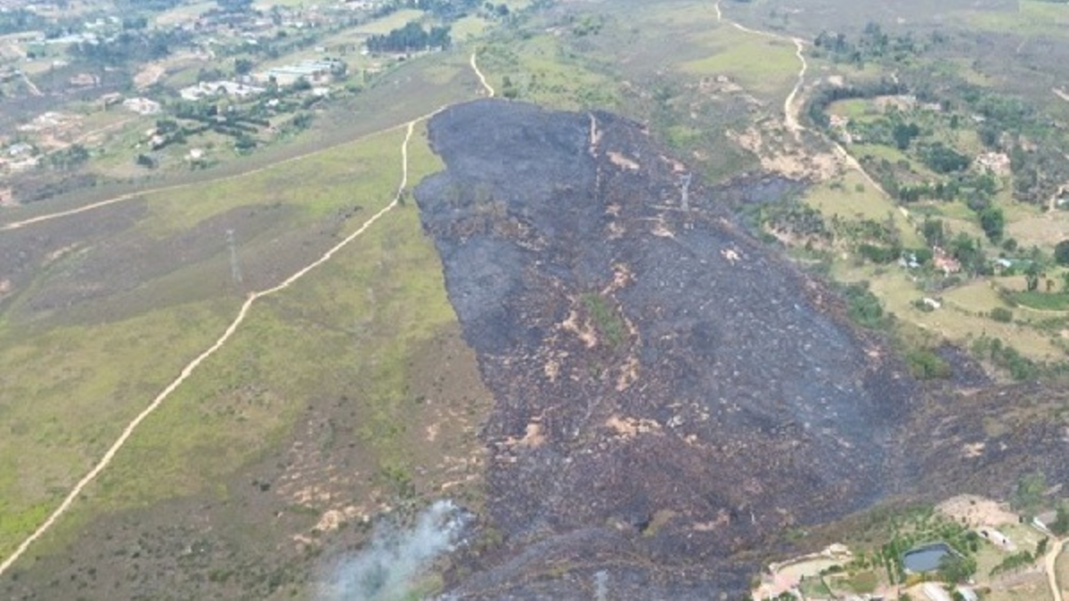 casas sobrevivieron al incendio

 – En la mira