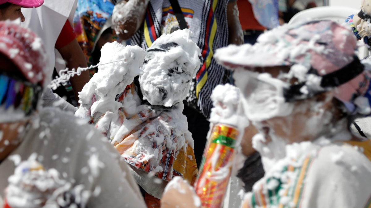 Rechazan brutal ataque a pollo en Popayán

 – En la mira