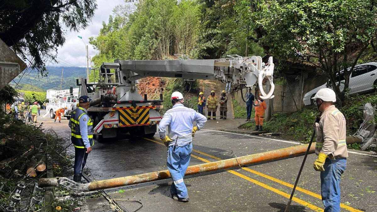 Plan de regreso a Cali | Despejan vía a Buenaventura: retiran un árbol y un poste que bloqueaba la vía en el barrio El Saladito

 – En la mira