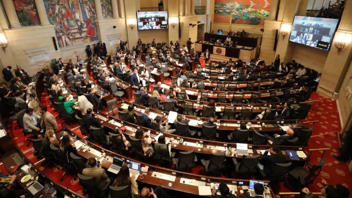 ¿Se espera la cantidad de senadoras y diputadas en el nuevo parlamento? Los candidatos que compiten por los escaños

 – En la mira