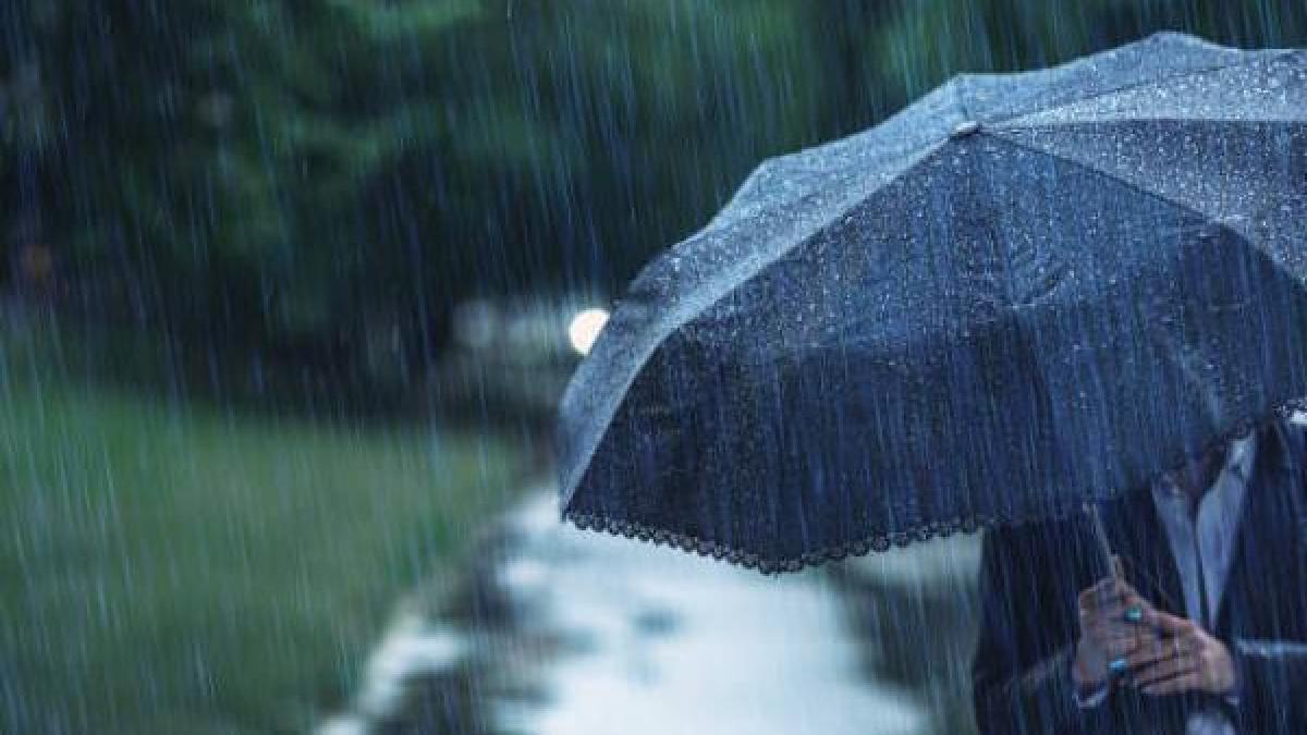 Reportan 11 cierres de carreteras y 21 cruces restringidos tras inundaciones en gran parte del país

 – En la mira