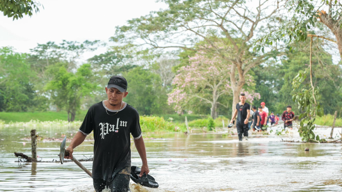 Más de 364.000 personas están infectadas

 – En la mira