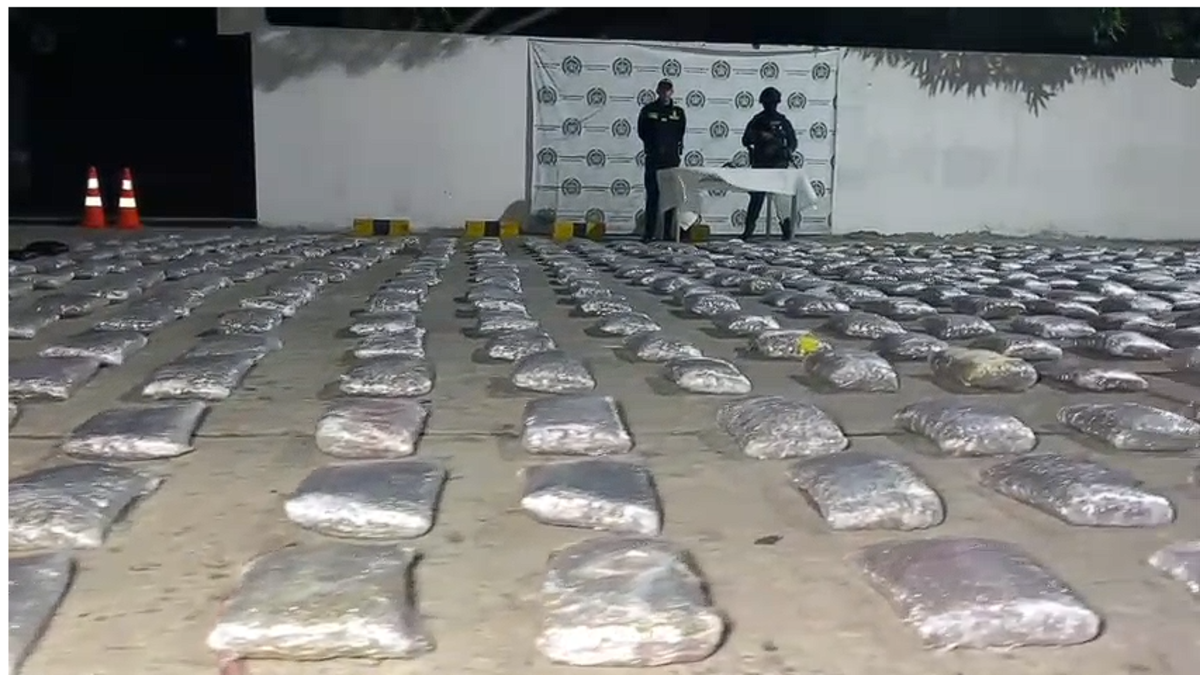Confiscan más de media tonelada de marihuana en domicilio; El valor de la droga se estima en casi 3 mil millones de dólares.

 – En la mira
