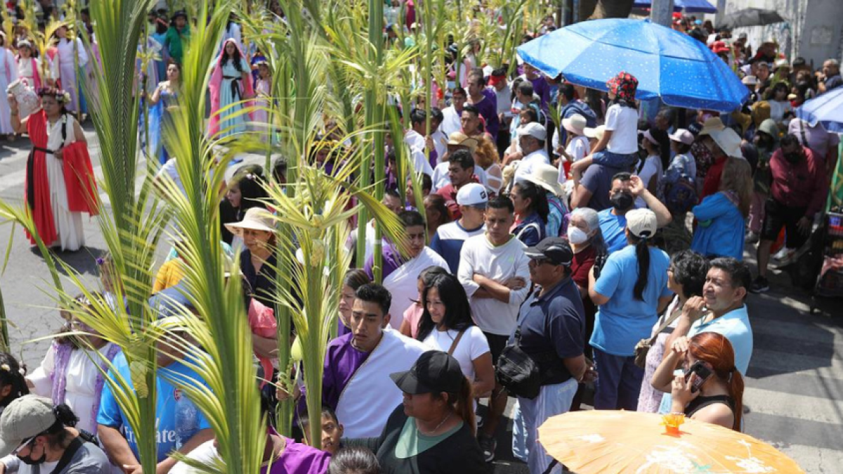Barranquilla entregará 12.000 plantones de palma areca para el Domingo de Ramos como alternativa sustentable a la tradicional palma de cera

 – En la mira