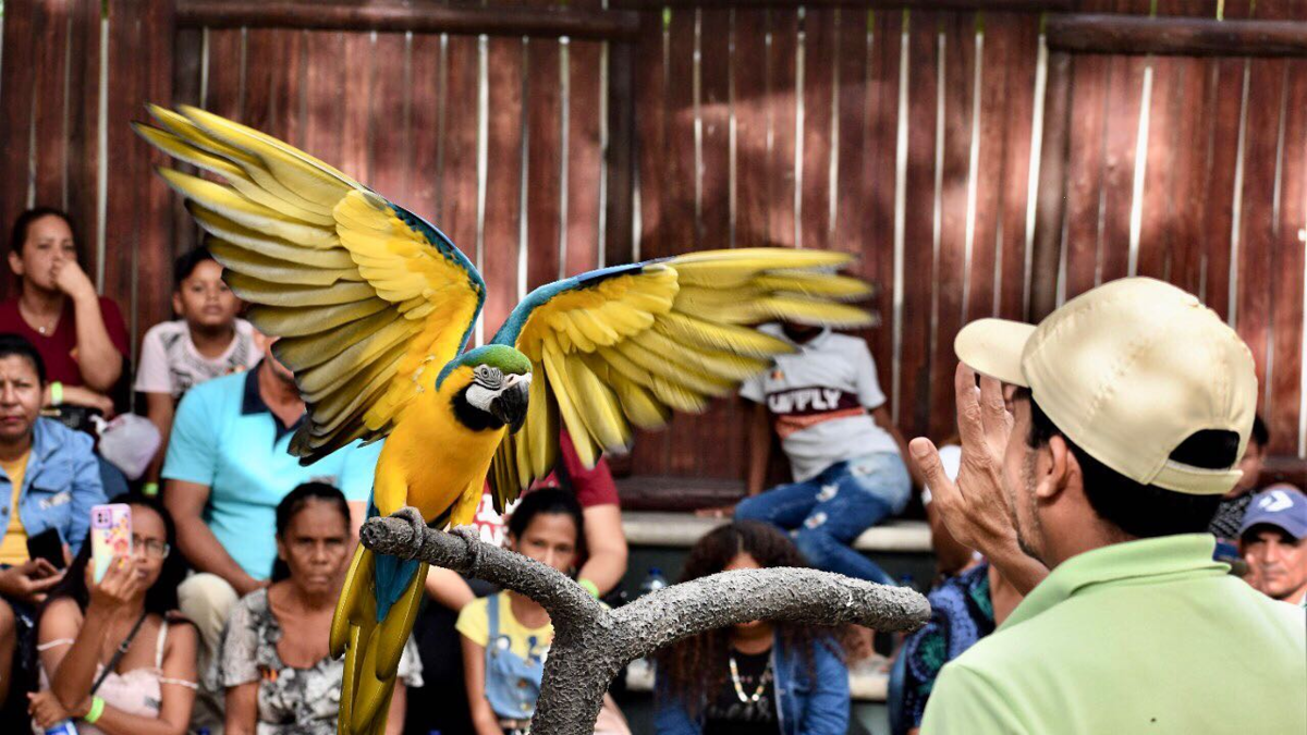 El Zoológico de Barranquilla se ha convertido en un referente del turismo de naturaleza, que incluye la conservación, educación y cría de más de 700 animales.

 – En la mira
