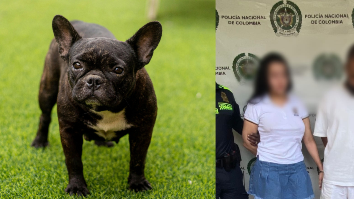 Dos personas fueron arrestadas por maltrato animal

 – En la mira