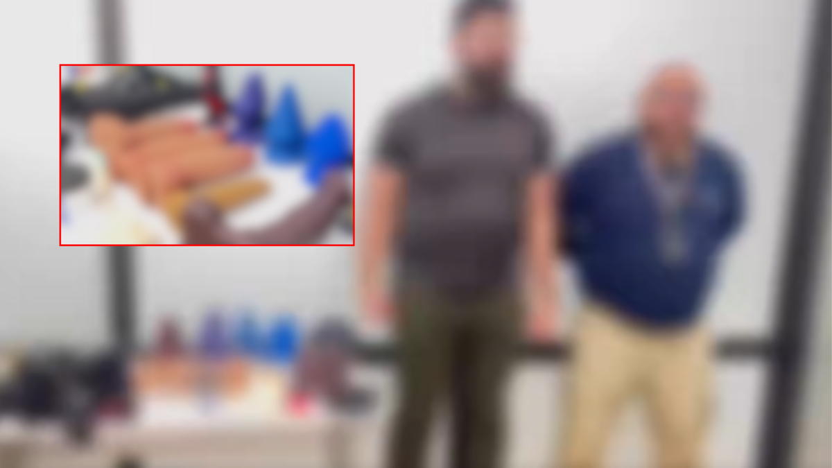 vine a grabar contenido para adultos

 – En la mira