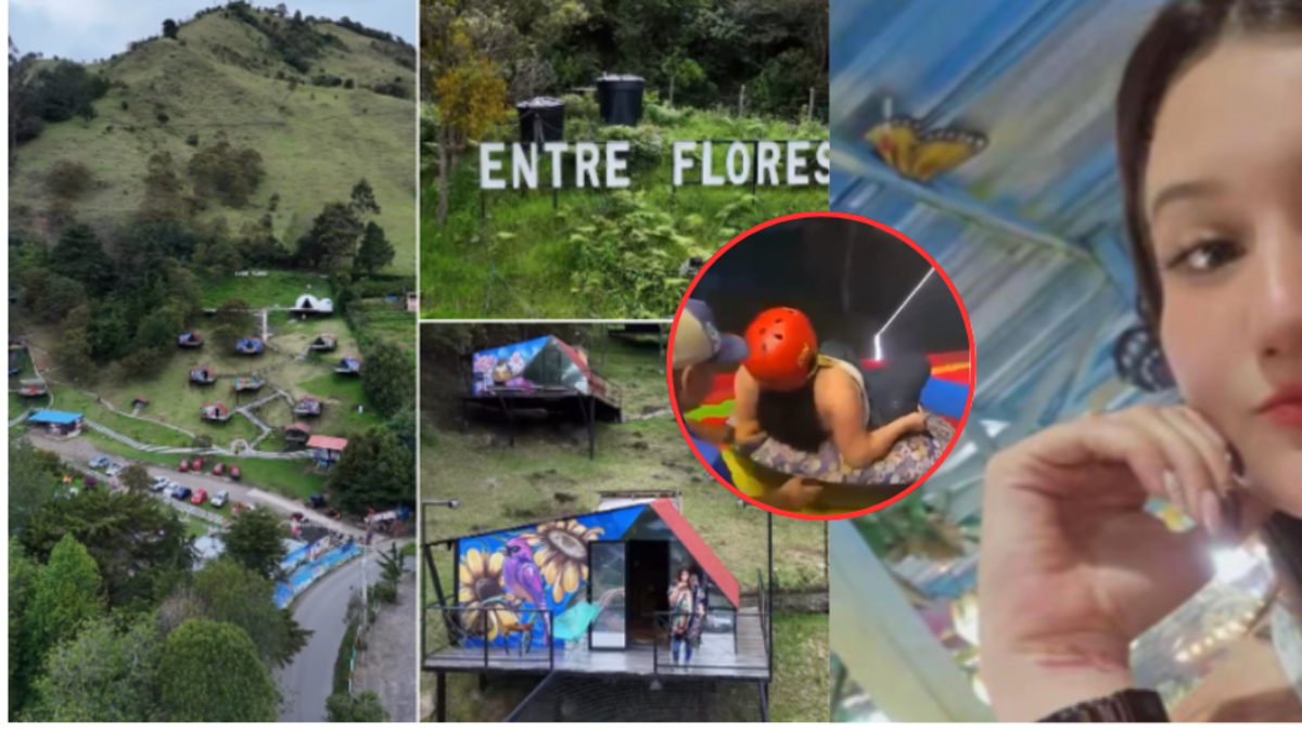 causa de muerte confirmada

 – En la mira