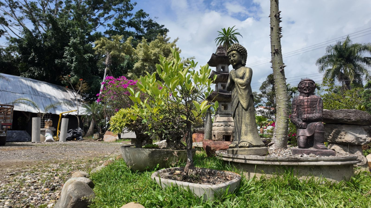 ¿Quién era el dueño que vivía lujosamente en el distrito sur de Cali?

 – En la mira