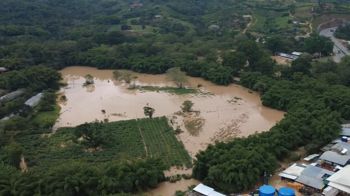 Buscan a un joven desaparecido que cruzó el río Lebrija durante fuertes lluvias y tormentas

 – En la mira
