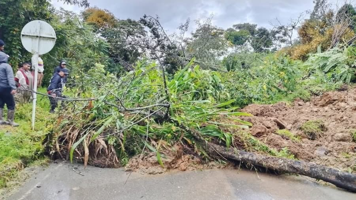 Fuertes lluvias inundan viviendas, destruyen cultivos y aislan municipios

 – En la mira