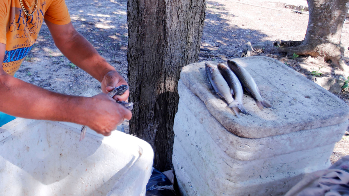 ¡Cuidado con el marisco durante Semana Santa! De esta forma, Atlántico refuerza la vigilancia sanitaria durante la temporada de mayor consumo del año

 – En la mira