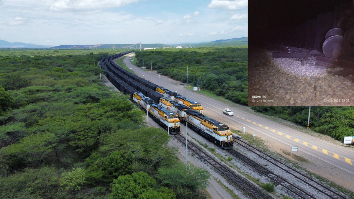 La detonación provocó el descarrilamiento de varios vagones del tren.

 – En la mira