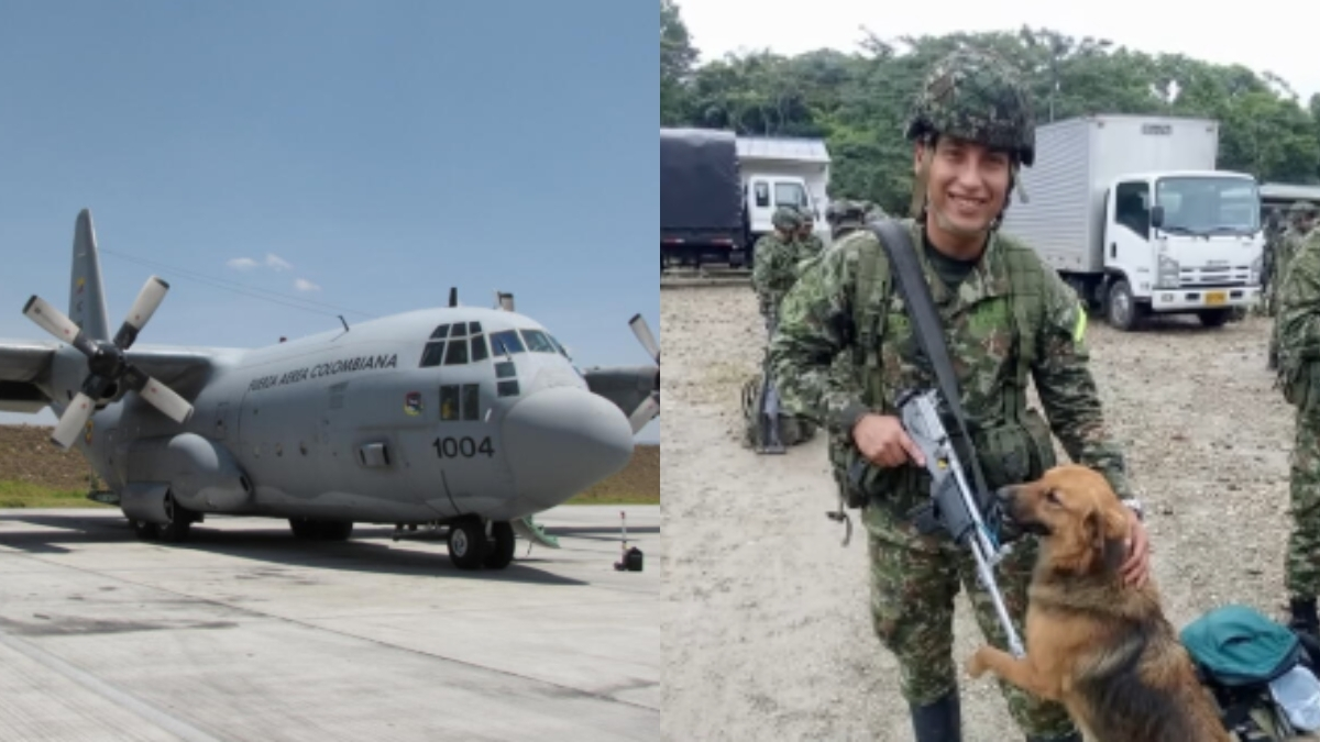 Al hombre le impidieron subir al avión por culpa de su perro

 – En la mira