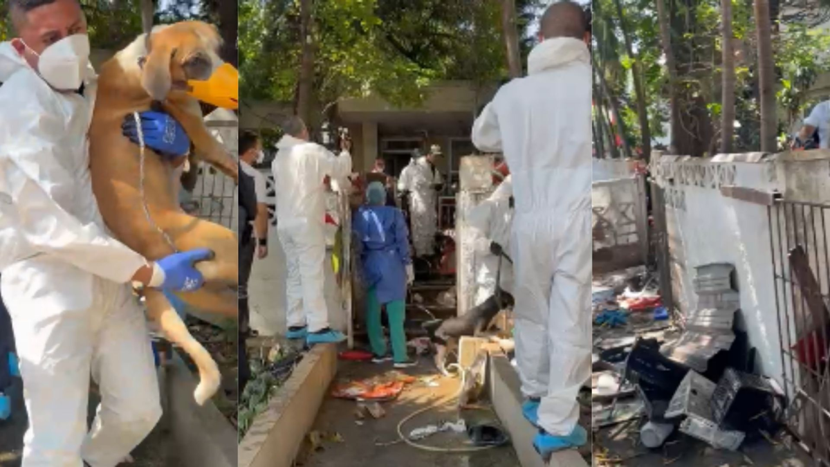 Más de 100 personas permanecen en cuarentena tras cirugía en “Casa de los Gatos”

 – En la mira