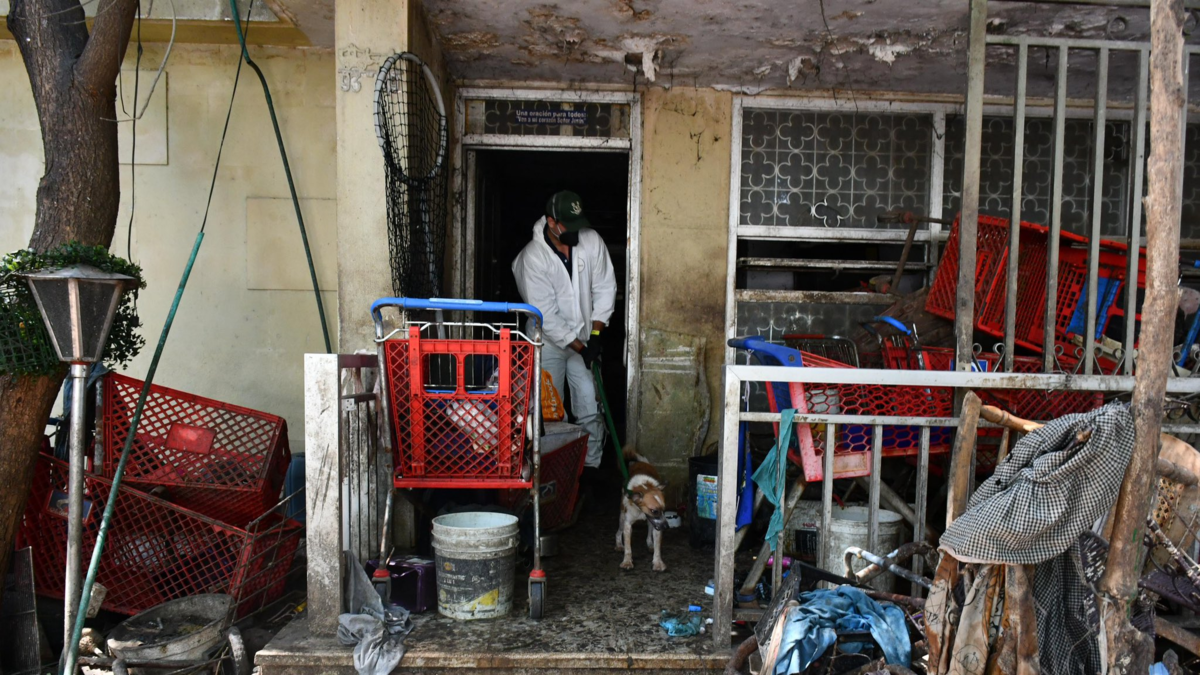 Aquí fotos del interior de la polémica “Casa de los Gatos” en Barranquilla

 – En la mira