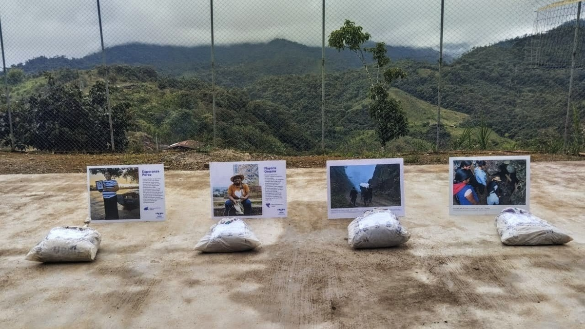 De esta manera fueron encontrados los cuerpos de diez personas desaparecidas en territorios indígenas de Nariño

 – En la mira