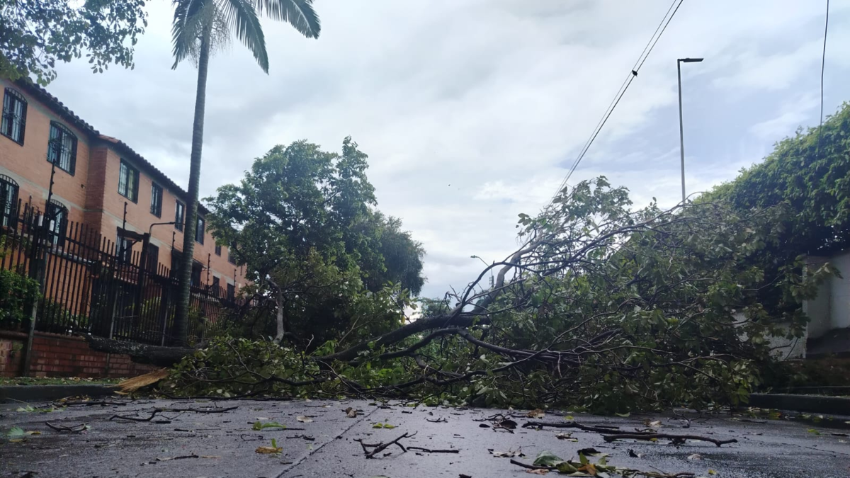 Emergencia por tormenta en Cali

 – En la mira