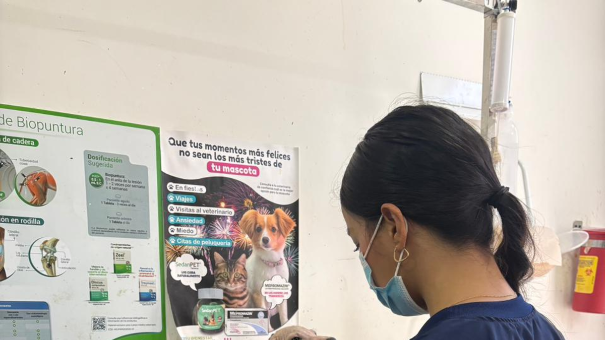 El condado afirma que la intervención de vivienda demuestra condiciones insalubres y abuso

 – En la mira