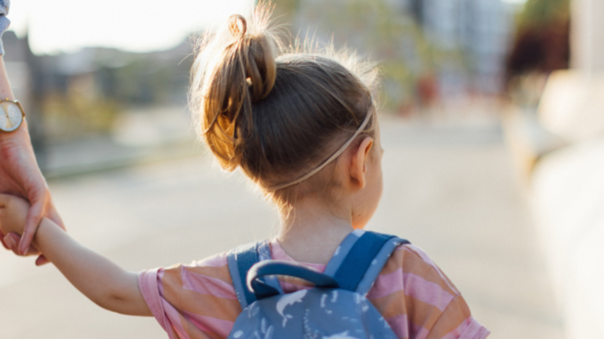 La comisión sexta del departamento aprueba un proyecto para proteger los alimentos en el entorno escolar

 – En la mira