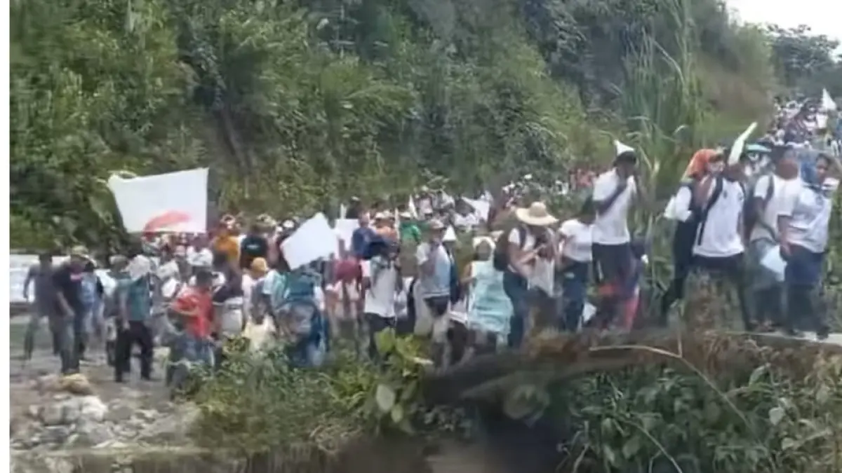 Más de 200 familias viven un vía crucis tras ser desplazadas por grupos armados que desafían las rutas de la droga en Nariño

 – En la mira