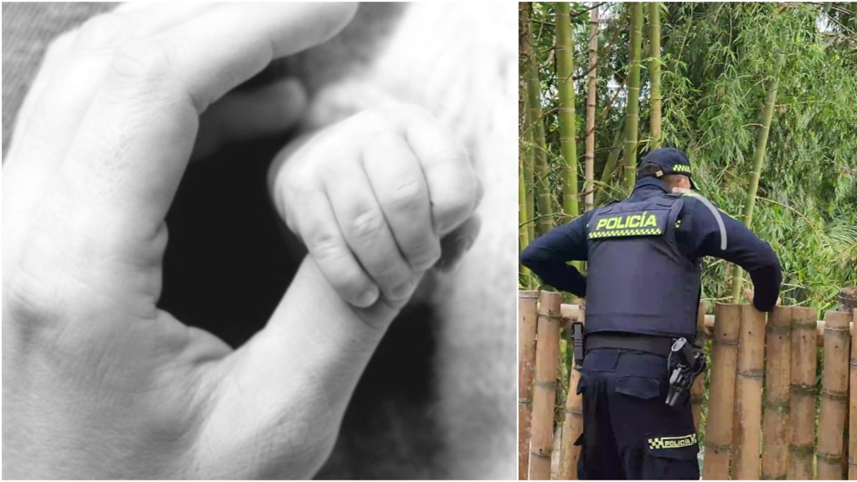 los vecinos escucharon a una mujer gritar la noche anterior; Están investigando lo sucedido

 – En la mira